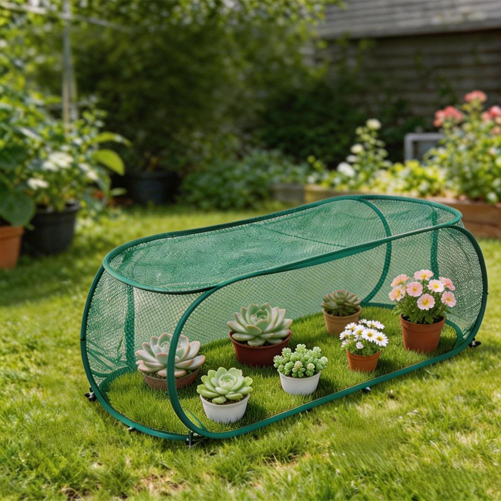 Lab Incubator - High Quality Summer Plant Flower Gardening