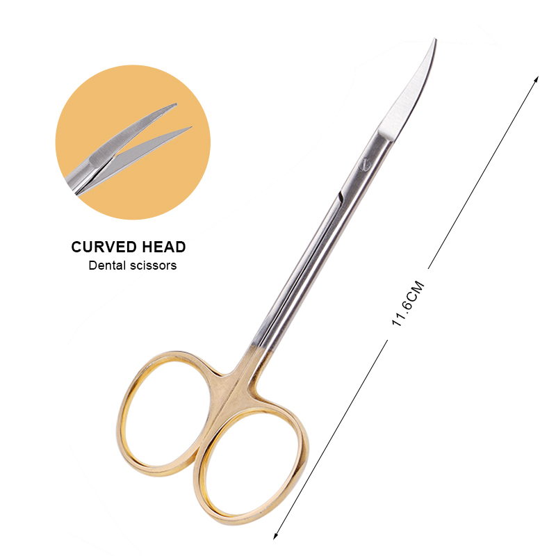 Dental Stainless Steel Medical - Medical Scissors ulasan dan harga