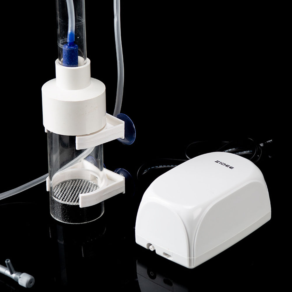 40mm Incubator Fish Hatchery E - Lab Incubator ulasan dan harga