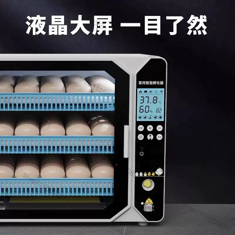 High-end Incubator Small House - Lab Incubator ulasan dan harga