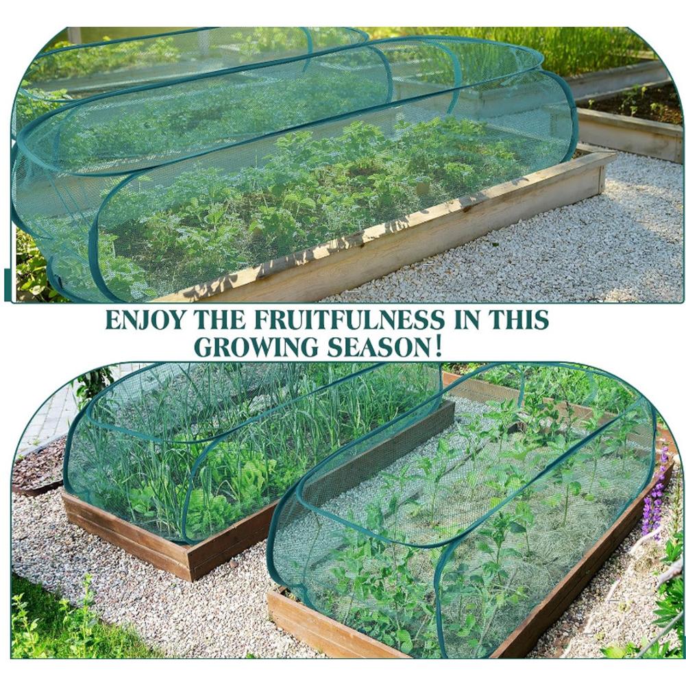 High Quality Summer Plant Flow - Lab Incubator ulasan dan harga