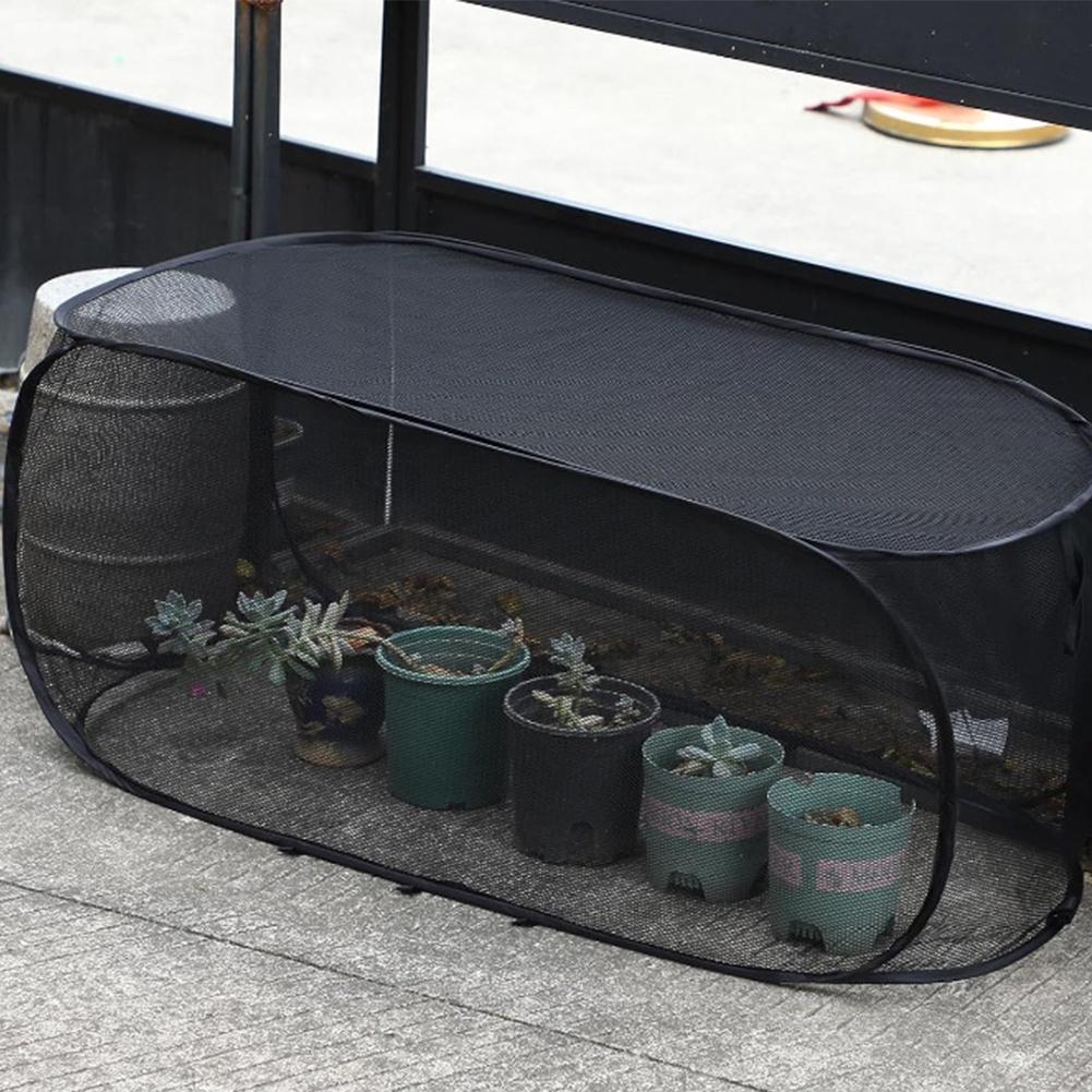 High Quality Summer Plant Flow - Lab Incubator ulasan dan harga