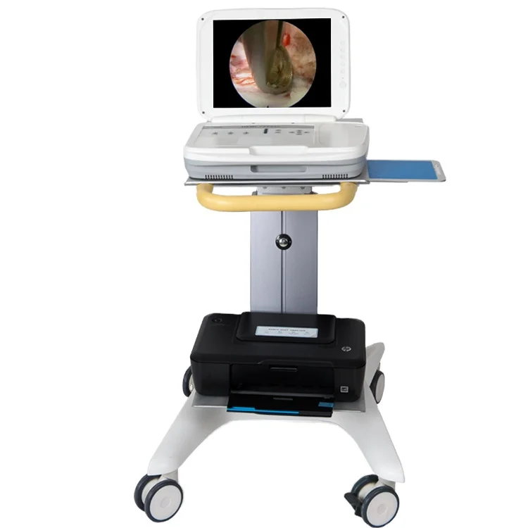 YKD-9003 Full HD Integrated Po - Medical Lab Images ulasan dan harga