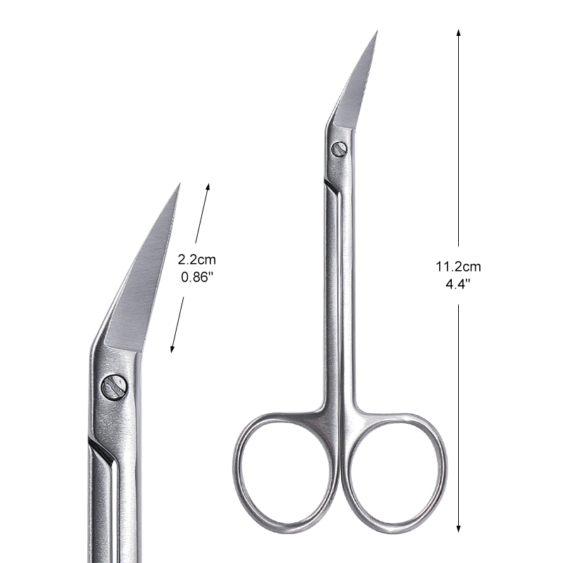 1pc Dental Micro Scissors Curv - Medical Scissors ulasan dan harga